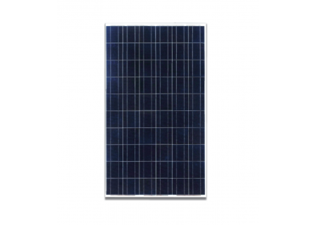 Solar PV Polycrystalline - 50W